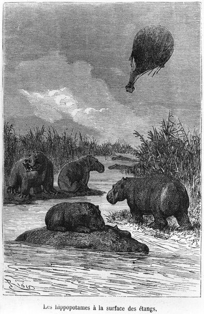 The Hippopotamus by Edouard Riou