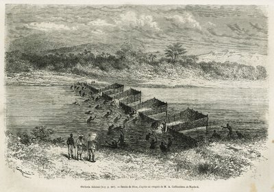 The Fishing Industry on the River Eboga (drawing by Riou, to illustrate the story of a trip to Gabon and the River Ogoue, 1875-1877, by Alfred Marche) by Edouard Riou