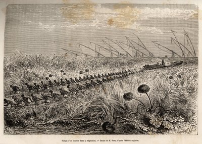 The hauling of a steamer through the vegetation rafts that invade the hollow canal to leave a marsh, etched after a drawing by E. Riou, illustrating an armed expedition in Central Africa, for the suppression of the black trade by Edouard Riou
