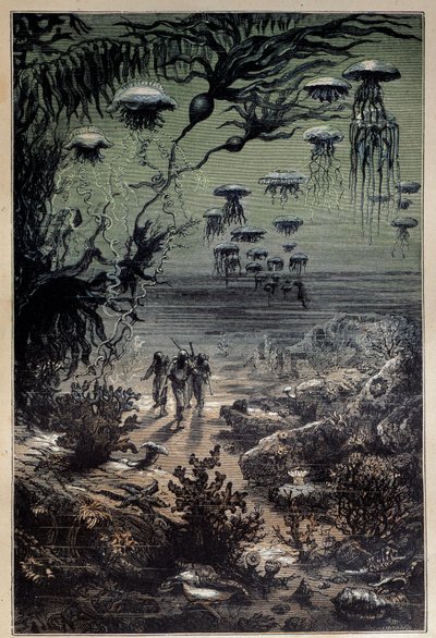 Underwater Floor. Illustration for Twenty Thousand Leagues Under the Seas by Jules Verne by Edouard Riou