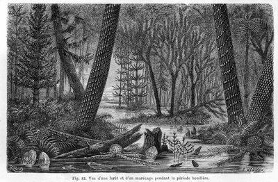 View of a forest and a marecage of the coal period by Edouard Riou