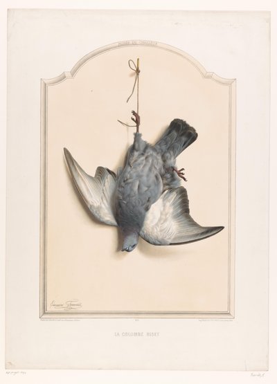 Dead Rock Dove Hanging by a Foot (La colombe biset) (title on object) (Museum of the Hunter) (series title) (Musée du chasseur) (series title on object) by Edouard Travies