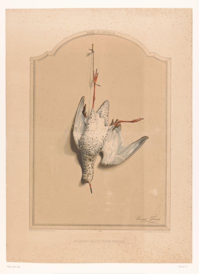 Dead Redshank Hanging by a Leg (Museum of the Hunter) by Edouard Travies