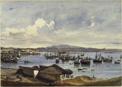 Panorama of Rio de Janeiro by Eduard Hildebrandt