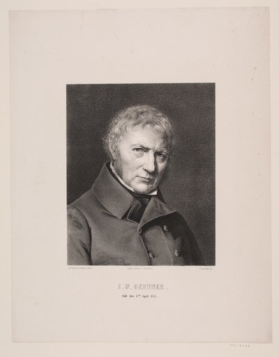 Block Turner J. W. Gertner by Edvard Fortling