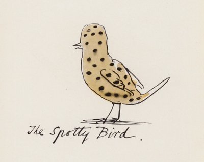 Edward Lear, The Bird Book: The Spotty Bird by Edward (after) Lear