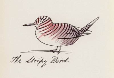 The Bird Book: The Stripy Bird by Edward (after) Lear