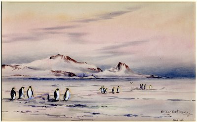 The Discovery Winter Quarters, c.1901-04 by Edward Adrian Wilson
