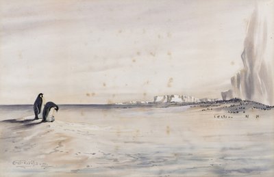 The Emperor Penguin Rookery, Cape Crozier by Edward Adrian Wilson