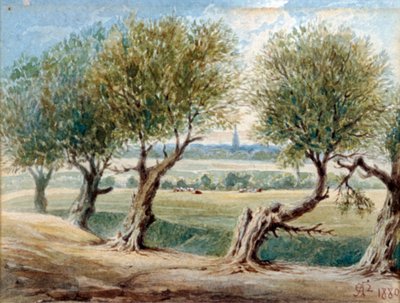 Last Vestige of the River Fleet, on the East Side of Fleet Road, Hampstead by Edward Arthur Heffer