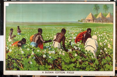 A Sudan Cotton Field, from the series 