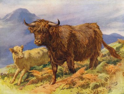 Highland Cow and Calf by Edward Brice Montefiore