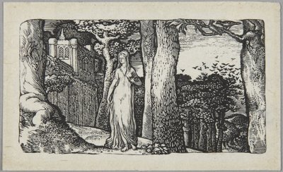 The Lady with the Rooks by Edward Calvert