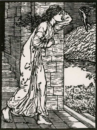 Psyche rushing out of Palace by Edward Coley (after) Burne Jones