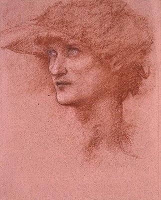 Study of Perseus in 