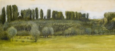 Landscape with Willows and Poplars, Study by Edward Burne Jones