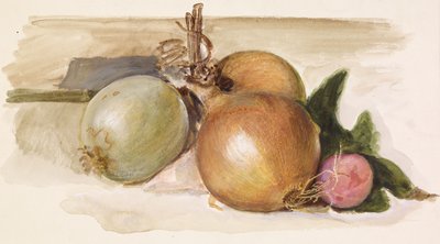 Still-Life - Study of Onions by Edward Burne Jones
