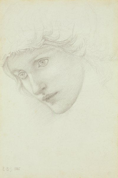 Study for the Head of a Mermaid by Edward Burne Jones