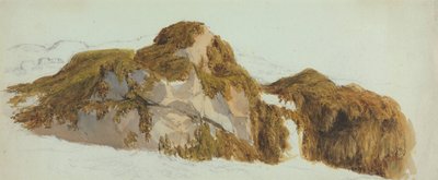 Study of Rocks Covered with Seaweed by Edward Duncan