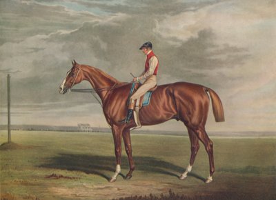 Velocipede, Winner of the St. Leger, 1828 by Edward Duncan