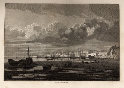 View of the city of Suez (Egypt), drawing by Grenet, to illustrate an excursion to the Suez Canal, in 1862, by Paul Merruau. Engraving in 