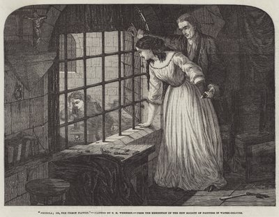 Picciola; or, the Prison Flower by Edward Henry Wehnert