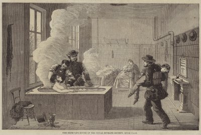 The Receiving-House of the Royal Humane Society, Hyde Park by Edward Hull