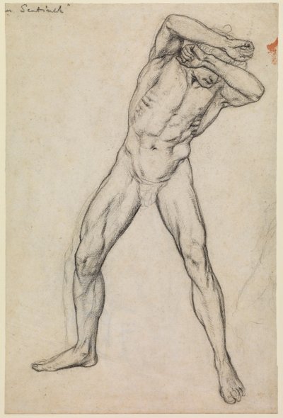 Study of a male nude for 