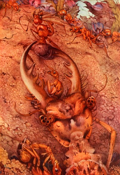 The Ant Lion, 1914 by Edward Julius Detmold