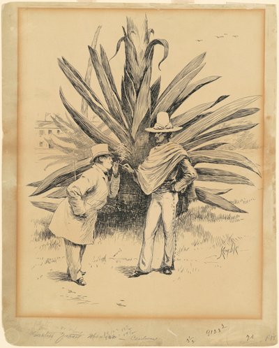 Cactus from Mexico by Edward Kemble