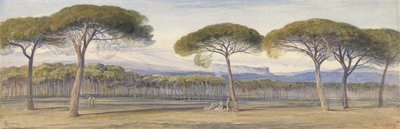 A View of the Pine Woods Above Cannes by Edward Lear