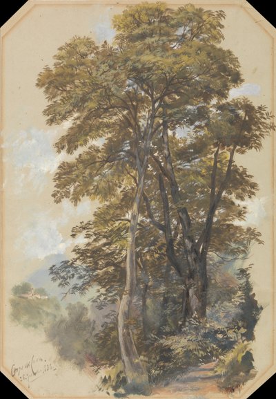 Corpo di Cava, June 28, 1838 by Edward Lear