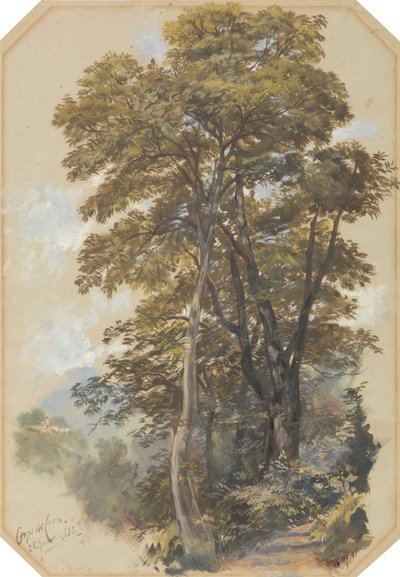 Corpo di Cava, 28 June 1838 by Edward Lear