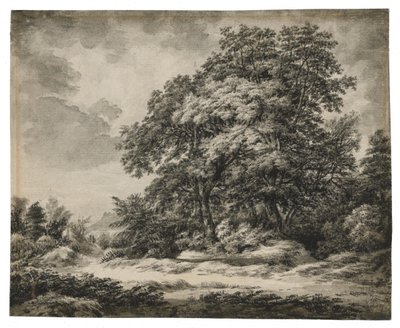 Forest Landscape by Edward Lear