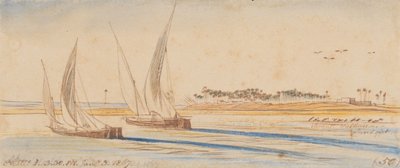 Nestet: 3:30 P.M., 3 Jan. 1867 (50) by Edward Lear