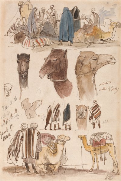Outside the Walls of Suez, 8:30 am, 17 January 1849 by Edward Lear