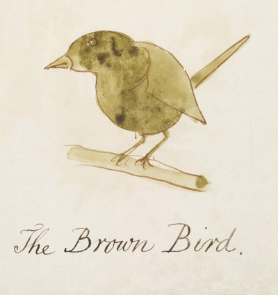 The Brown Bird, from Sixteen Drawings of Comic Birds by Edward Lear
