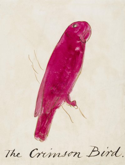 The Crimson Bird, from Sixteen Drawings of Comic Birds by Edward Lear