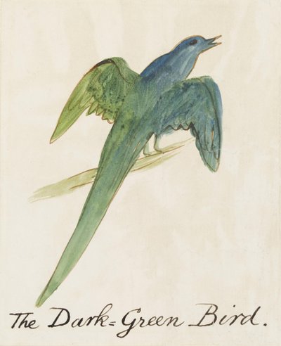 The Dark Green Bird, from Sixteen Drawings of Comic Birds by Edward Lear