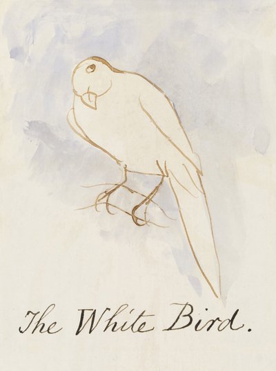 The White Bird, from Sixteen Drawings of Comic Birds by Edward Lear