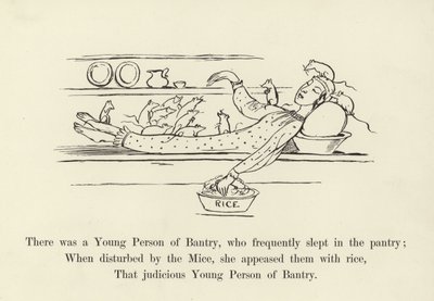 There was a Young Person of Bantry, who Frequently Slept in the Pantry by Edward Lear