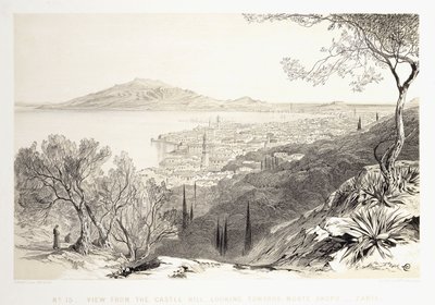 View from the Castle Hill, Looking Towards Monte Skopo, Zante by Edward Lear