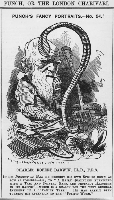 Charles Darwin, Punch
