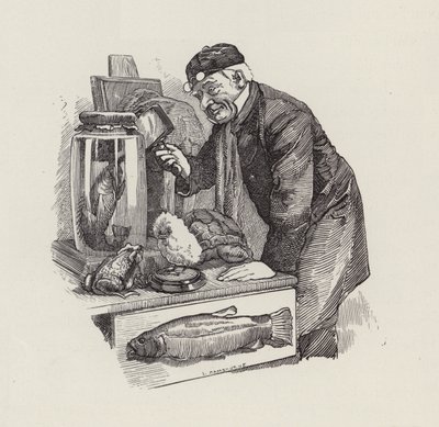 Illustration for The Water-Babies by Charles Kingsley by Edward Linley (after) Sambourne