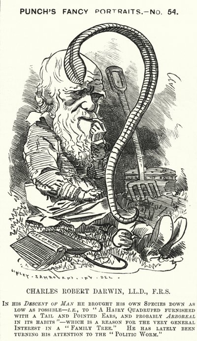 Charles Darwin, English naturalist and biologist by Edward Linley (after) Sambourne