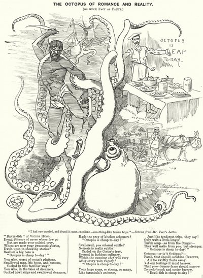 Punch cartoon: The Octopus of Romance and Reality by Edward Linley (after) Sambourne