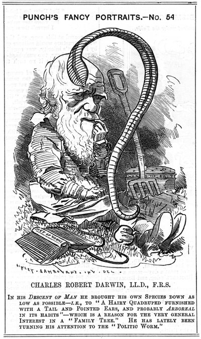 Charles Darwin, English Naturalist. Evolution by Natural Selection. Cartoon by Edward Linley Sambourne in the Fancy Portrait Series in Punch, London 1881 by Edward Linley Sambourne