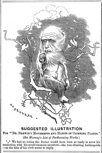 Charles Darwin, English Naturalist, 1875 by Edward Linley Sambourne