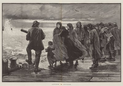 After a Storm by Edward Morant Cox
