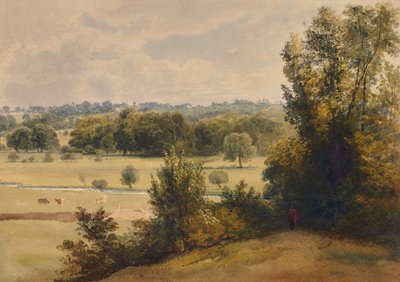 Landscape of Trees and Fields by Edward Pretty
